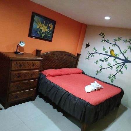 Hotel Amayal San Cristóbal de Las Casas Extérieur photo