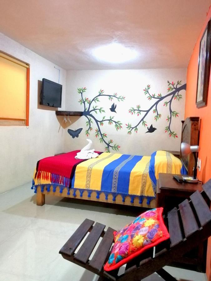 Hotel Amayal San Cristóbal de Las Casas Extérieur photo