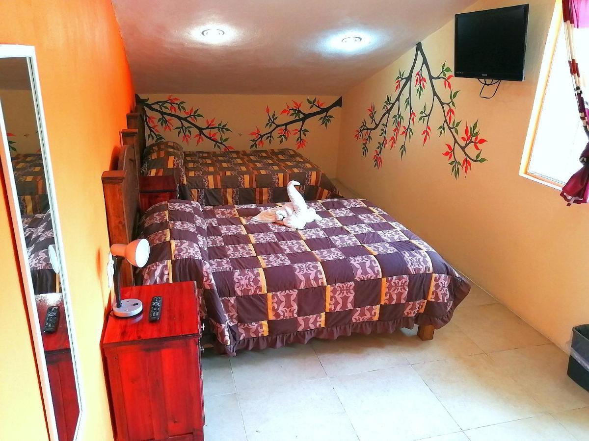 Hotel Amayal San Cristóbal de Las Casas Extérieur photo