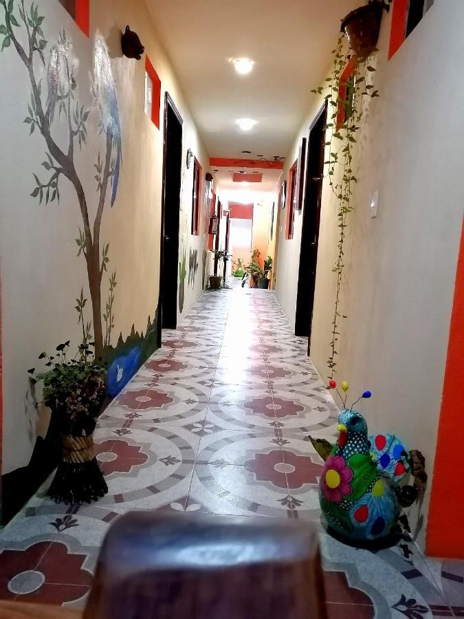 Hotel Amayal San Cristóbal de Las Casas Extérieur photo