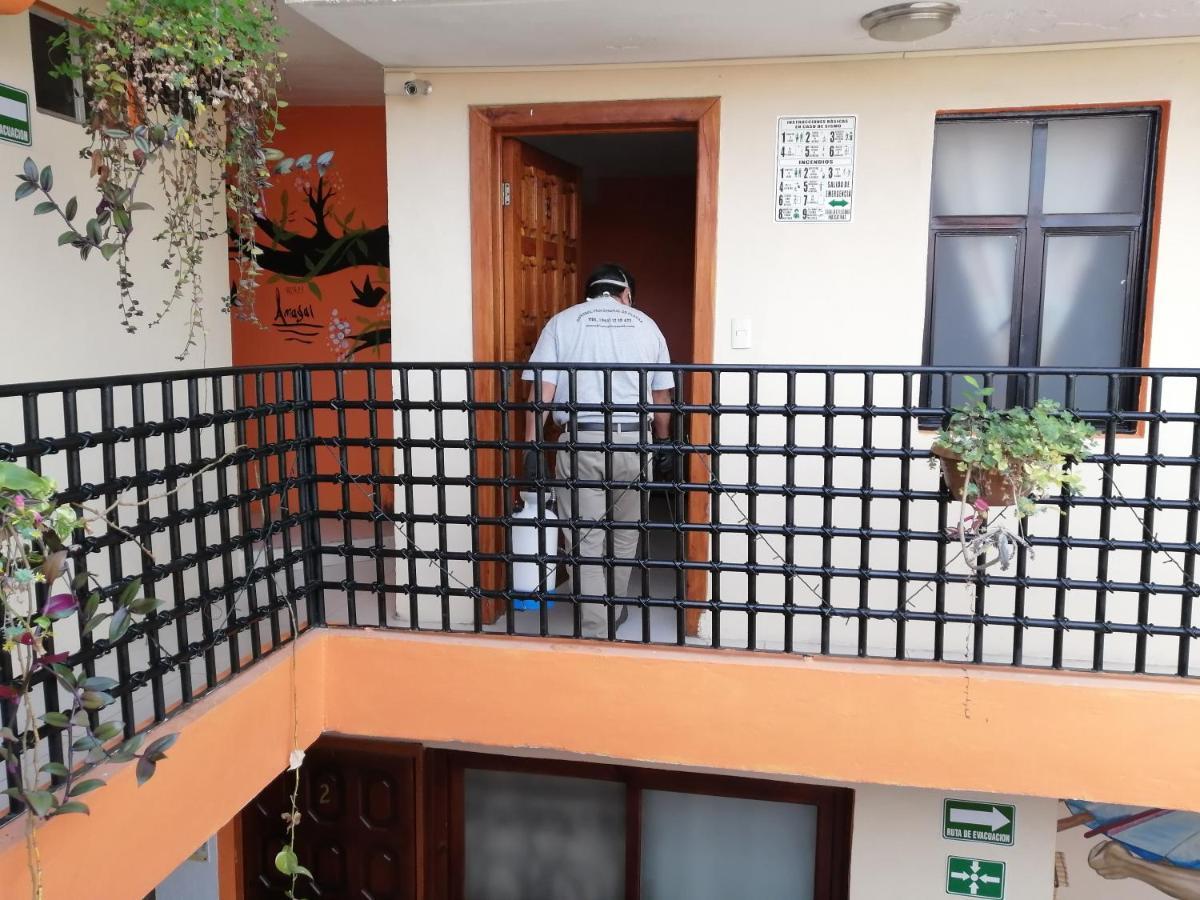 Hotel Amayal San Cristóbal de Las Casas Extérieur photo