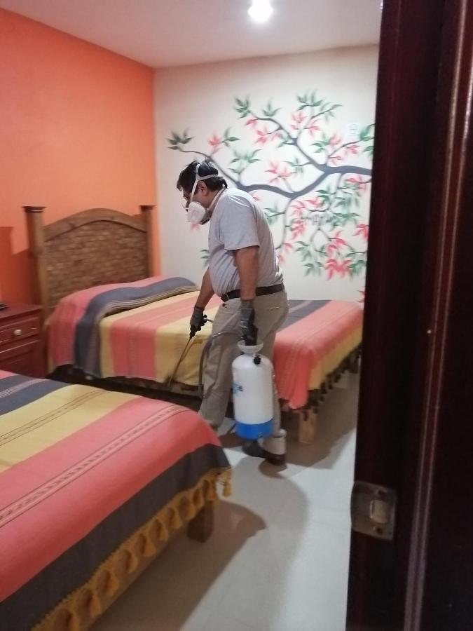 Hotel Amayal San Cristóbal de Las Casas Extérieur photo