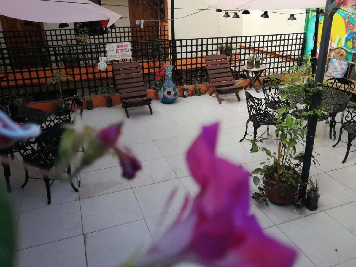 Hotel Amayal San Cristóbal de Las Casas Extérieur photo