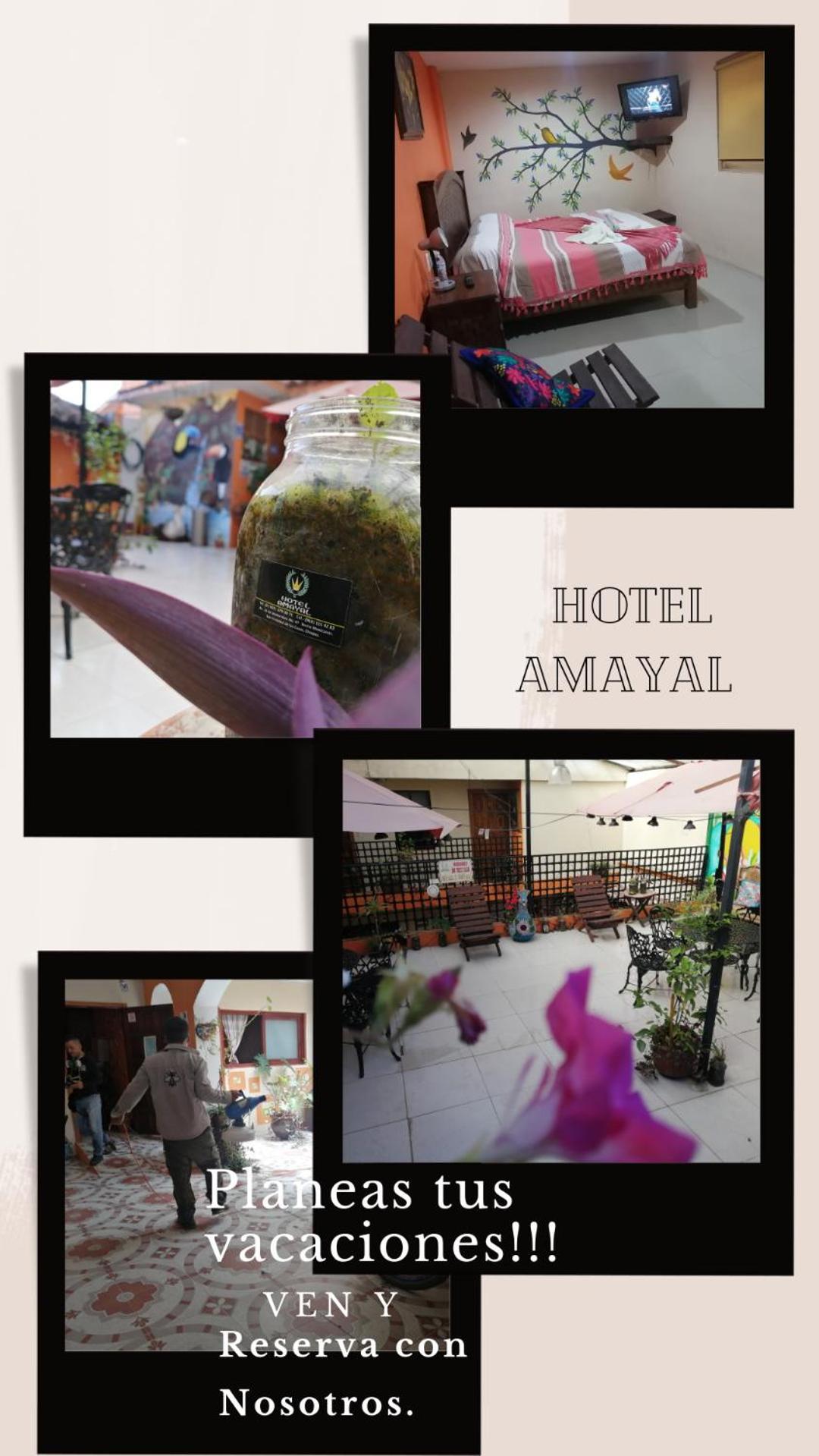 Hotel Amayal San Cristóbal de Las Casas Extérieur photo